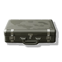 Case